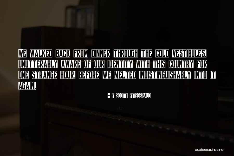 Vestibules Quotes By F Scott Fitzgerald Vestibules Quotes By F Scott Fitzgerald