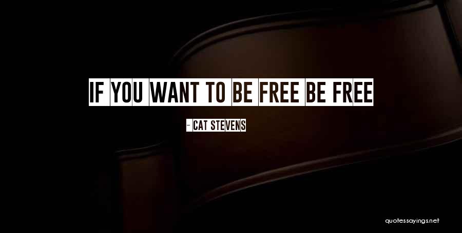 Vestibulocerebellum Quotes By Cat Stevens Vestibulocerebellum Quotes By Cat Stevens