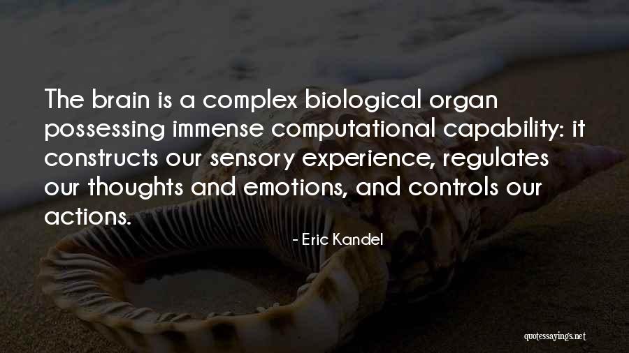 Vestibulocerebellum Quotes By Eric Kandel Vestibulocerebellum Quotes By Eric Kandel