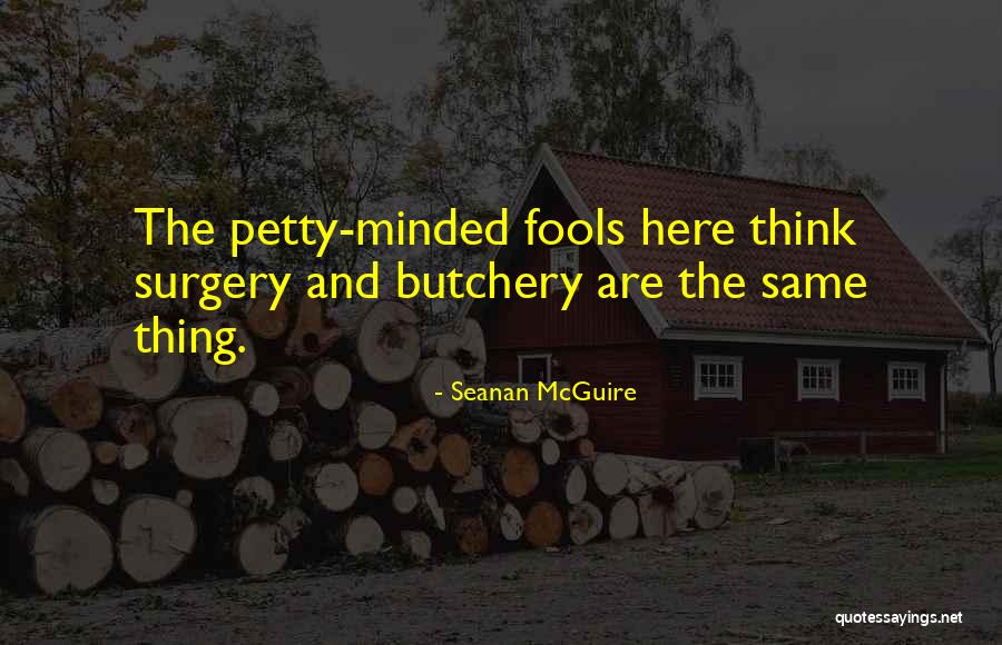 Vestidura Para Quotes By Seanan McGuire Vestidura Para Quotes By Seanan McGuire