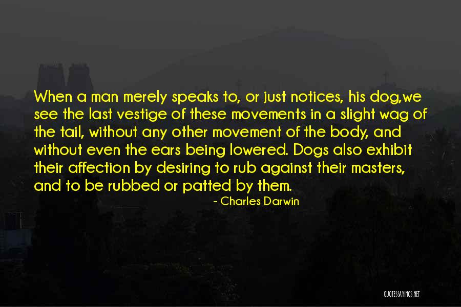 Vestige Quotes By Charles Darwin Vestige Quotes By Charles Darwin