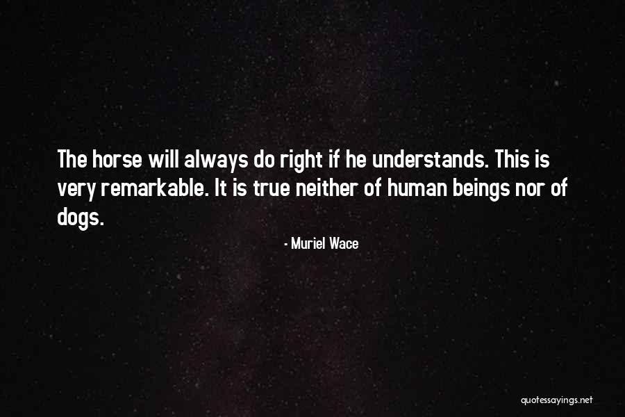 Vesztes Ges Quotes By Muriel Wace Vesztes Ges Quotes By Muriel Wace
