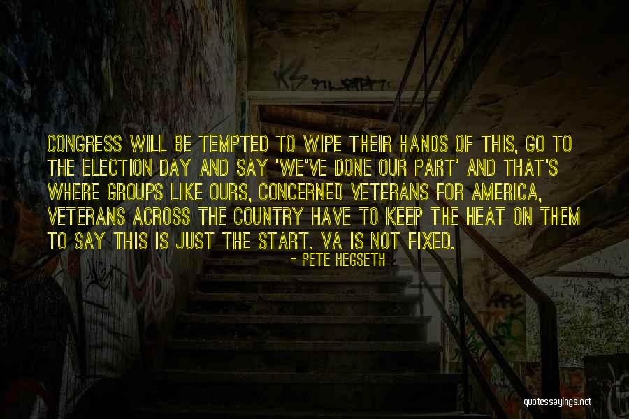 Veterans Day Day Quotes By Pete Hegseth