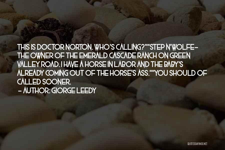 Veterinarian Quotes By Giorge Leedy