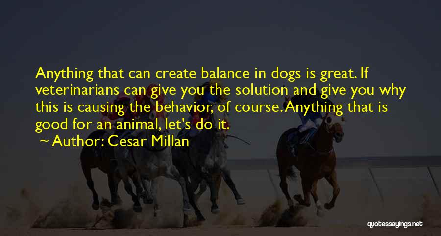 Veterinarians Quotes By Cesar Millan