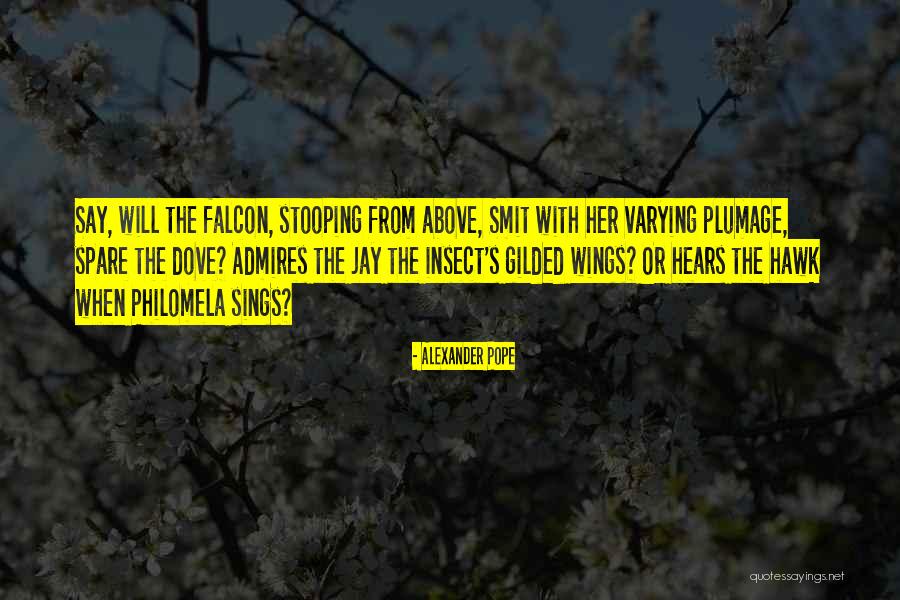Vetlearn Quotes By Alexander Pope Vetlearn Quotes By Alexander Pope