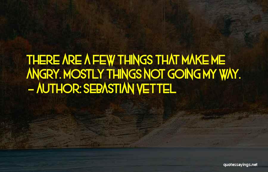 Vettel Quotes By Sebastian Vettel