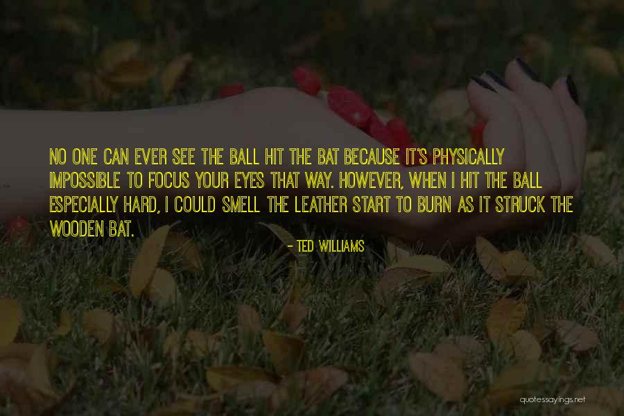 Vettels Quotes By Ted Williams Vettels Quotes By Ted Williams