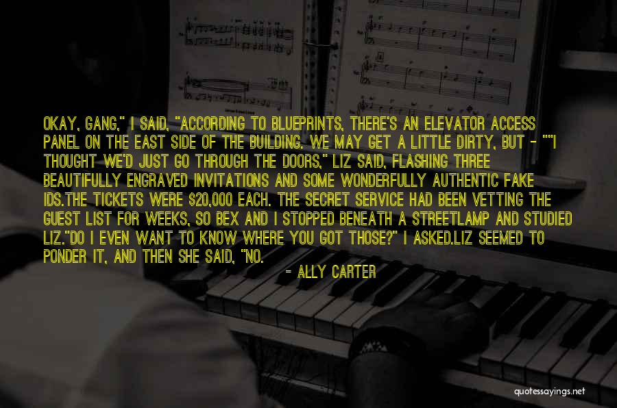 Vetting Quotes By Ally Carter Vetting Quotes By Ally Carter