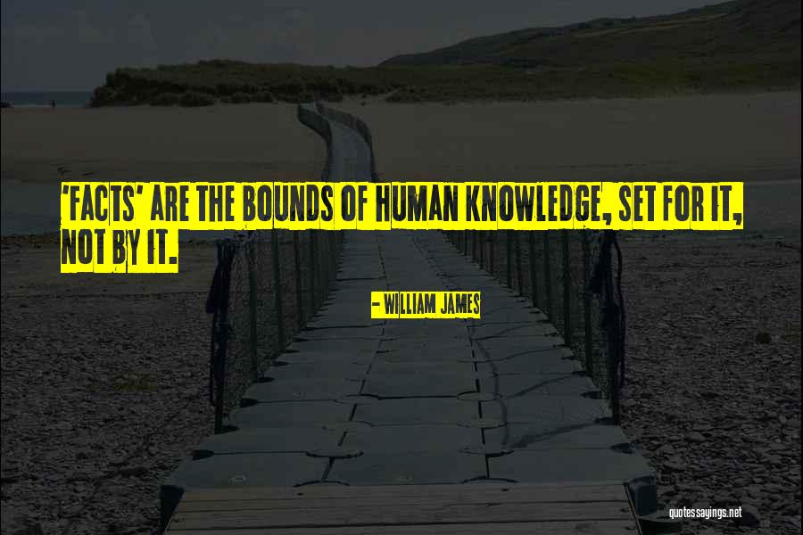 Vexation Of Spirit Quotes By William James Vexation Of Spirit Quotes By William James