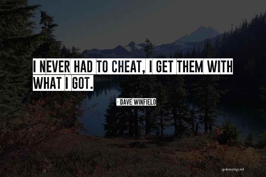 Vexatious Litigation Quotes By Dave Winfield