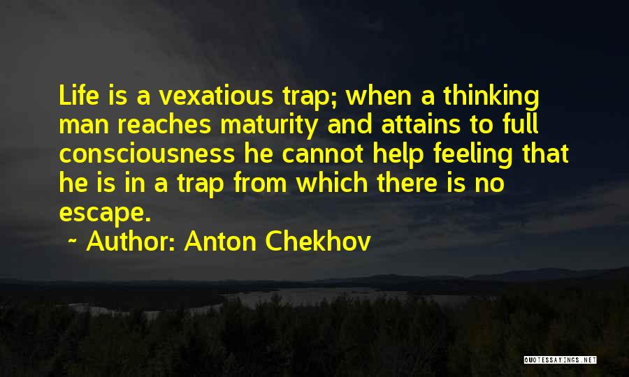 Vexatious Quotes By Anton Chekhov