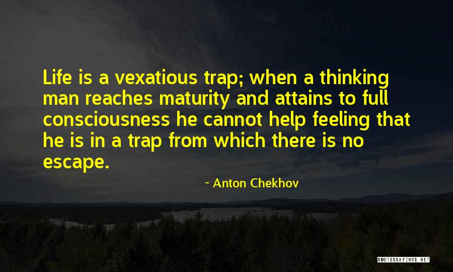 Vexatious Quotes By Anton Chekhov