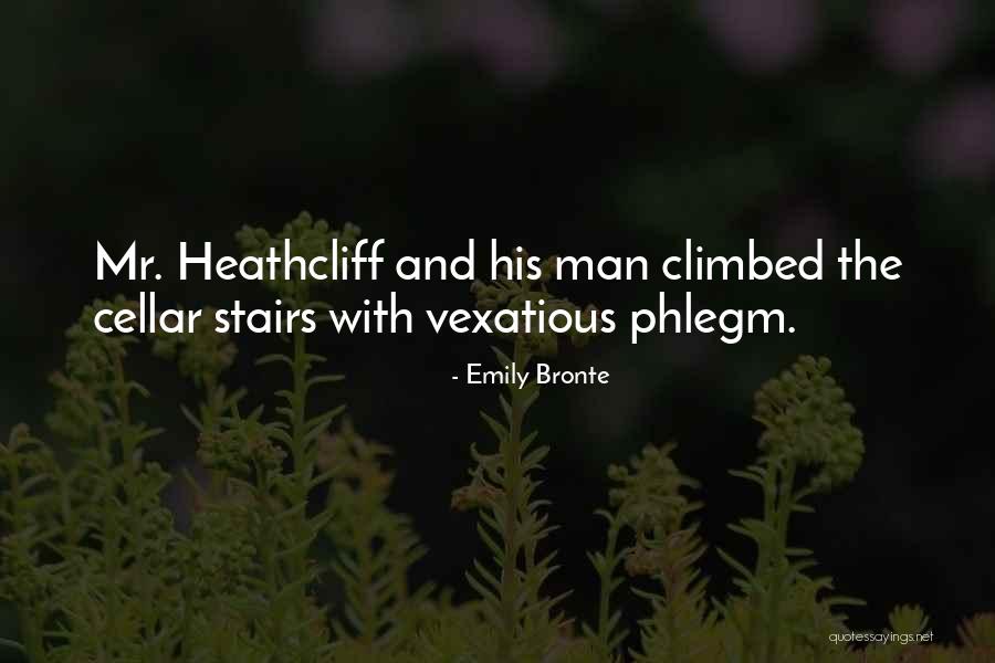 Vexatious Quotes By Emily Bronte