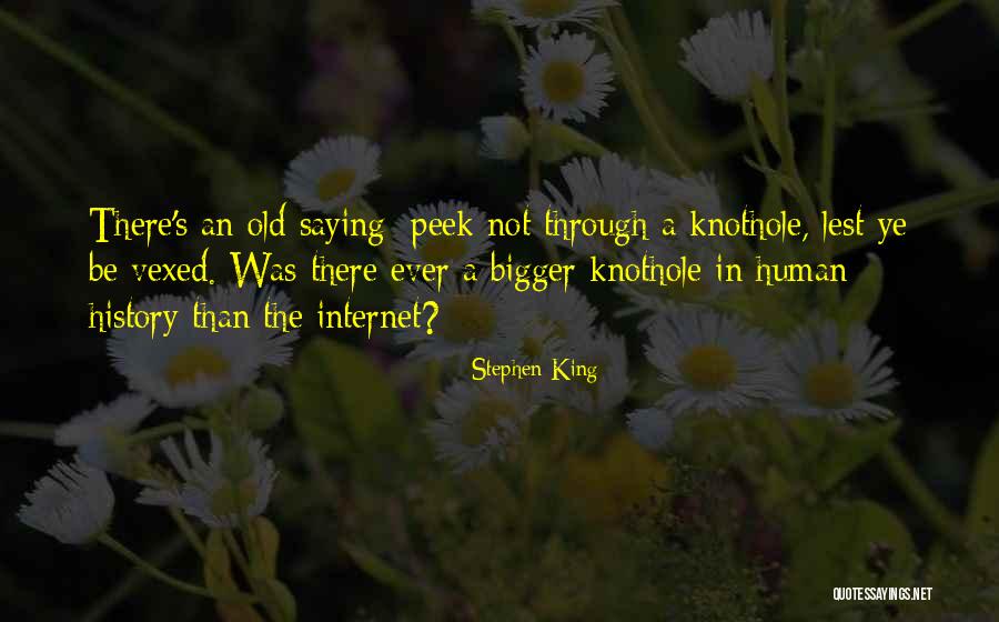 Vexed Quotes By Stephen King