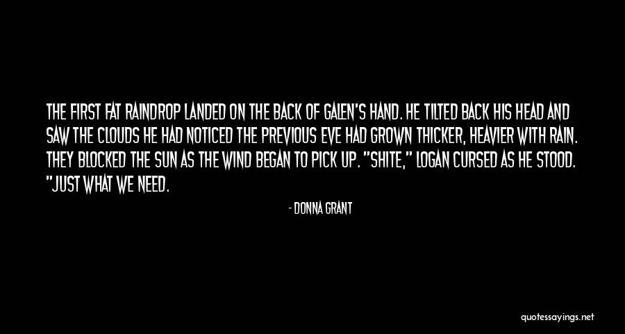 Vexes Hair Quotes By Donna Grant
