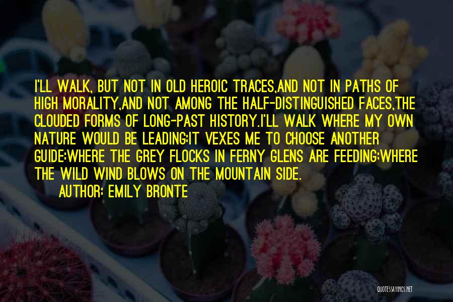 Vexes Quotes By Emily Bronte