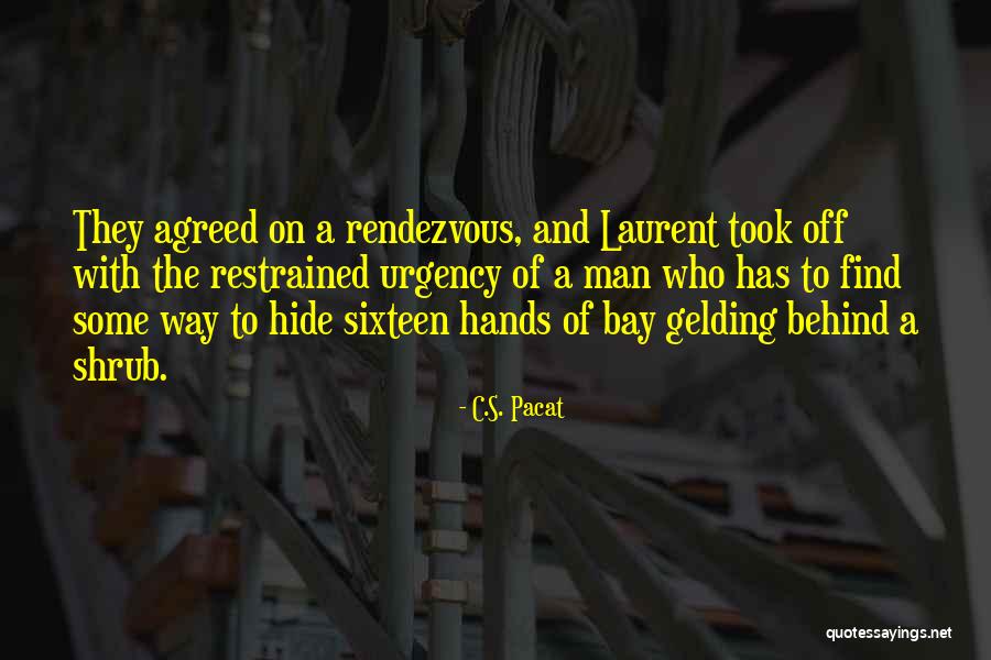 Vexler Silviu Quotes By C.S. Pacat Vexler Silviu Quotes By C.S. Pacat