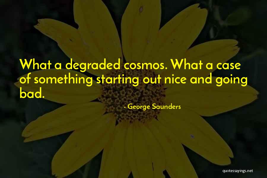 Veziane Quotes By George Saunders Veziane Quotes By George Saunders