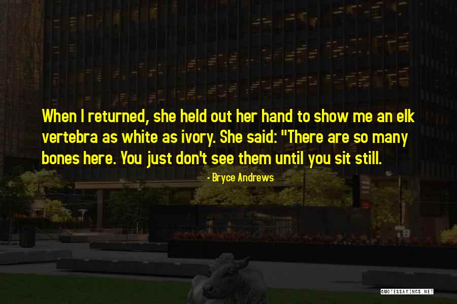 Vezir Quotes By Bryce Andrews Vezir Quotes By Bryce Andrews