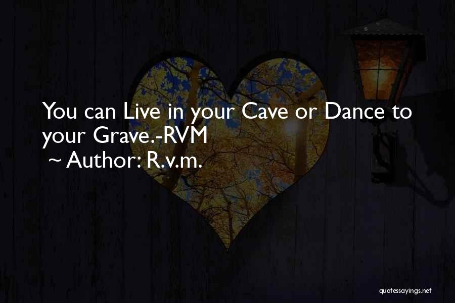 V'ger Quotes By R.v.m.