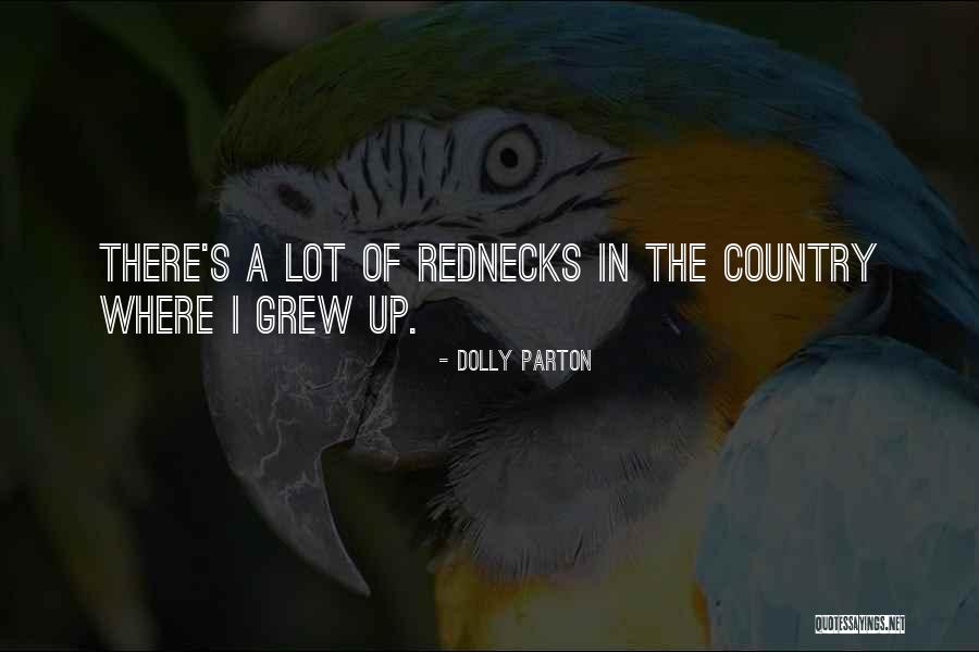 Vghs Quotes By Dolly Parton