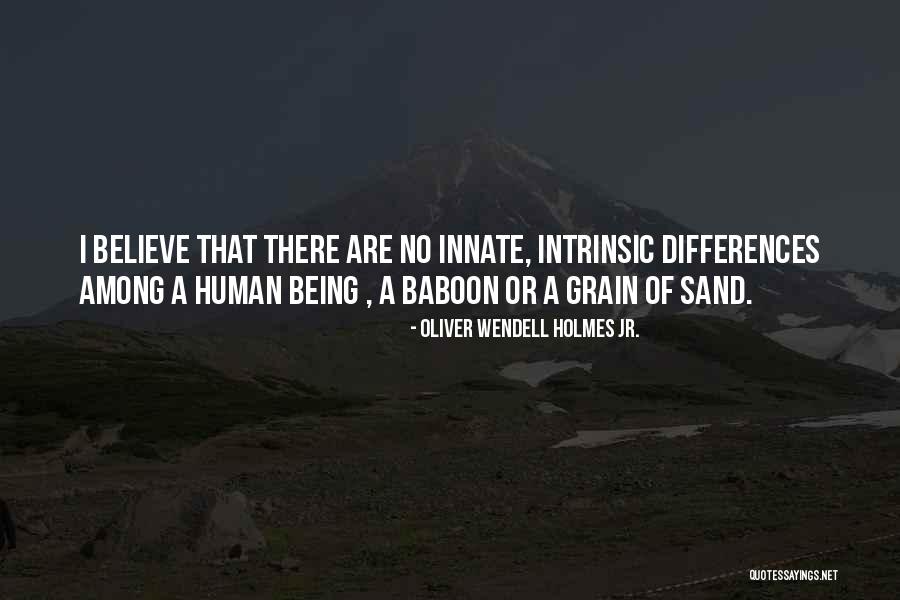 Vi A Del Mar Quotes By Oliver Wendell Holmes Jr. Vi A Del Mar Quotes By Oliver Wendell Holmes Jr.