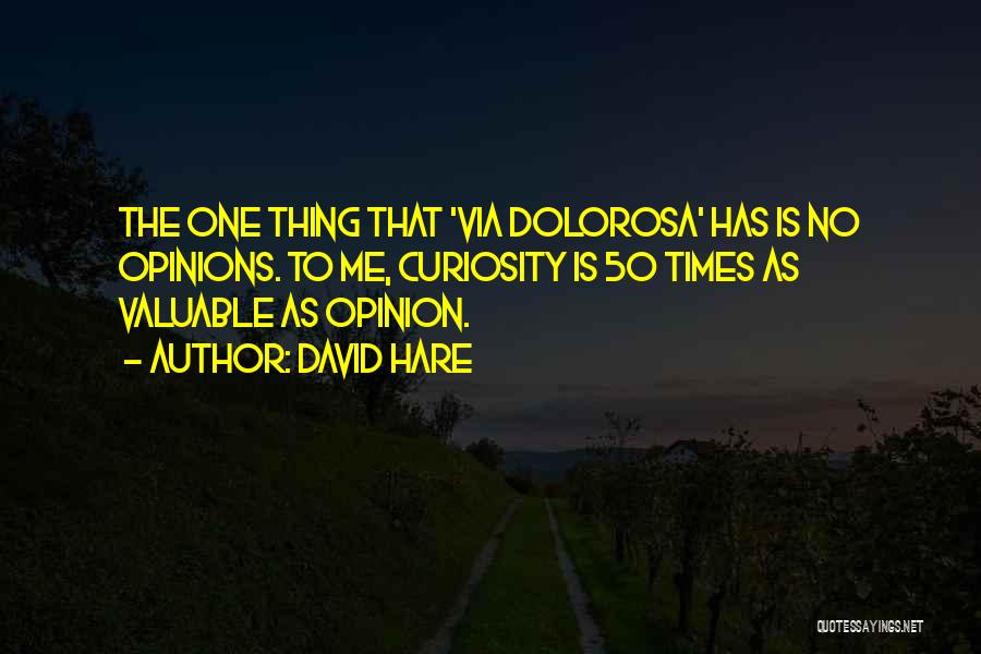 Via Dolorosa Quotes By David Hare