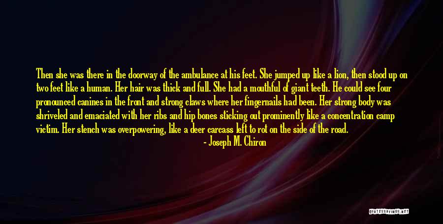 Viacheslav Petrov Quotes By Joseph M. Chiron