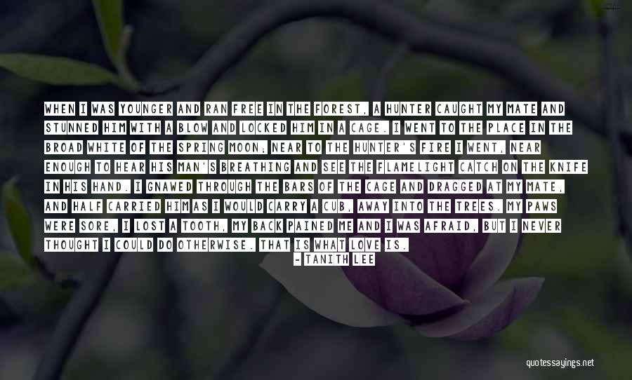 Viajante Significado Quotes By Tanith Lee Viajante Significado Quotes By Tanith Lee