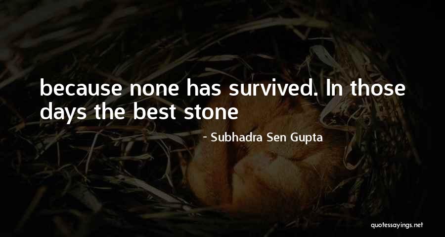Viajantes Cigar Quotes By Subhadra Sen Gupta