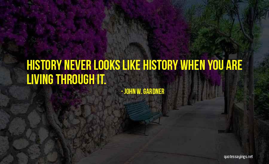 Viande Rouge Quotes By John W. Gardner Viande Rouge Quotes By John W. Gardner
