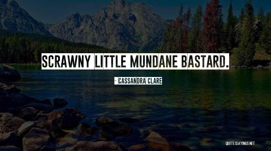 Vianey Arana Quotes By Cassandra Clare Vianey Arana Quotes By Cassandra Clare