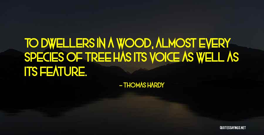 Viatcheslav Kalinin Quotes By Thomas Hardy Viatcheslav Kalinin Quotes By Thomas Hardy