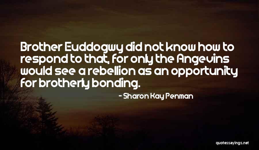 Viault Quotes By Sharon Kay Penman Viault Quotes By Sharon Kay Penman