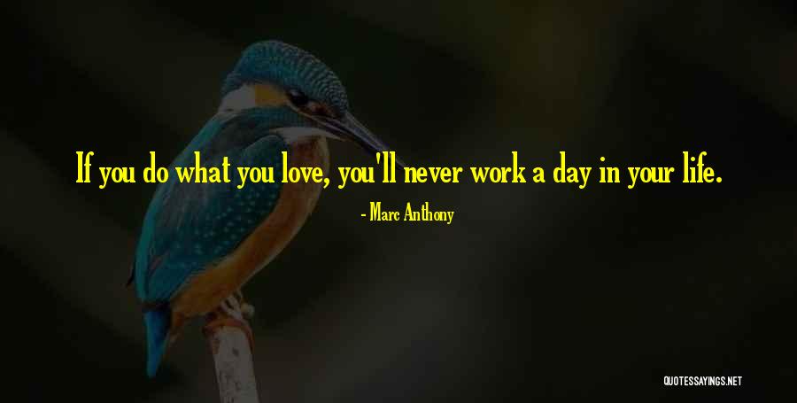 Vibeke Manniche Quotes By Marc Anthony Vibeke Manniche Quotes By Marc Anthony