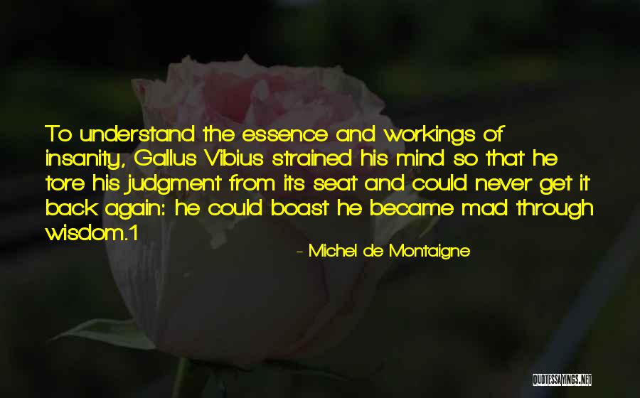 Vibius Quotes By Michel De Montaigne Vibius Quotes By Michel De Montaigne