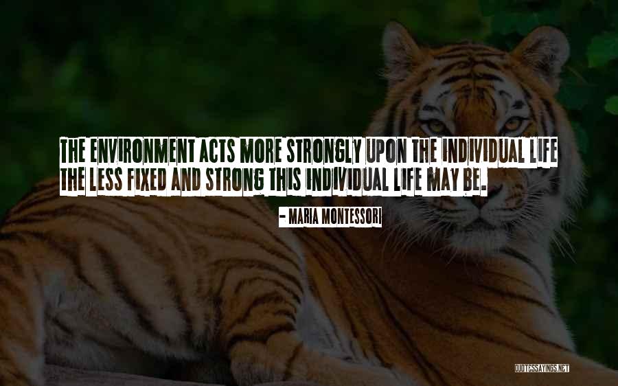 Vibraciona Quotes By Maria Montessori Vibraciona Quotes By Maria Montessori