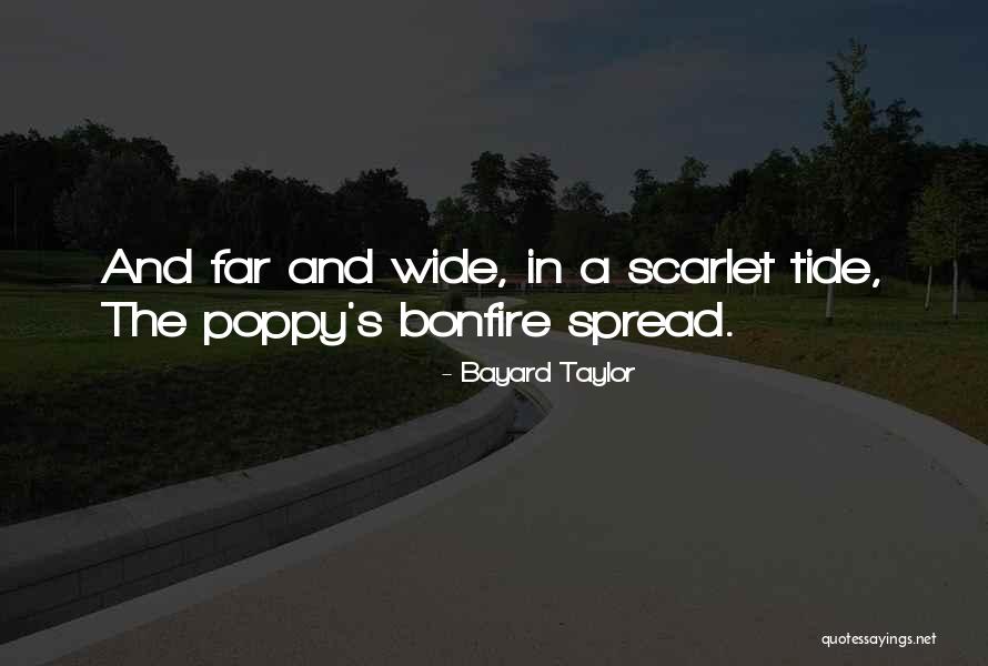 Vibrantly Live Quotes By Bayard Taylor