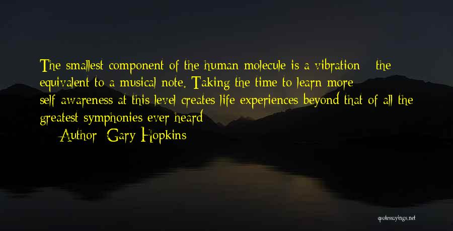 Vibration Energy Quotes By Gary Hopkins