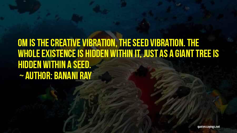 Vibration Quotes By Banani Ray