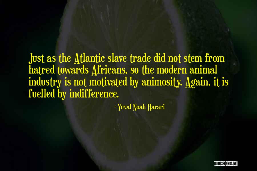 Vibrational Energy Quotes By Yuval Noah Harari Vibrational Energy Quotes By Yuval Noah Harari