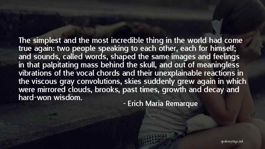 Vibrations Of Words Quotes By Erich Maria Remarque