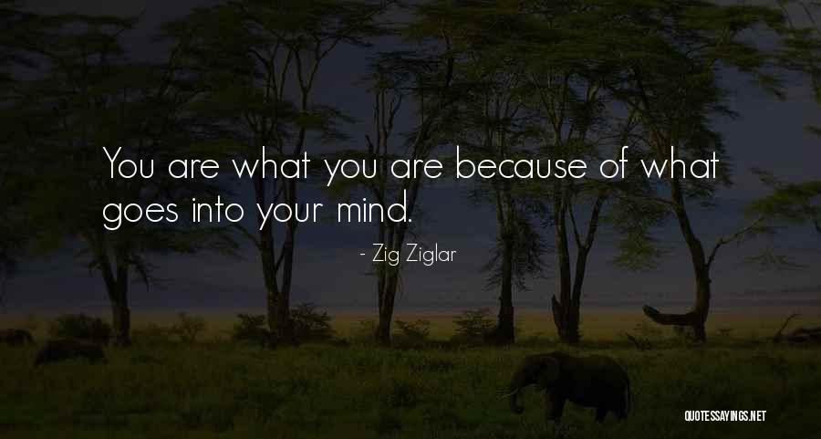 Vic Dibitetto Quotes By Zig Ziglar Vic Dibitetto Quotes By Zig Ziglar