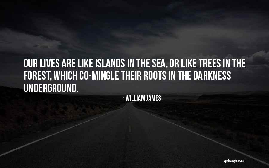Vicchioleski Quotes By William James Vicchioleski Quotes By William James