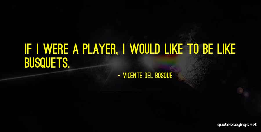 Vicente Del Bosque Quotes 1190992