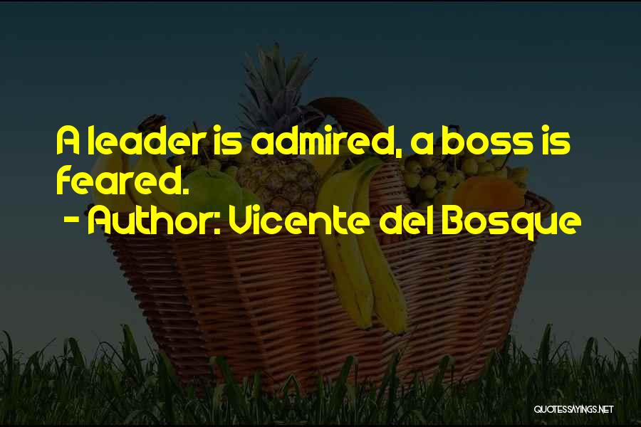 Vicente Del Bosque Quotes 362884