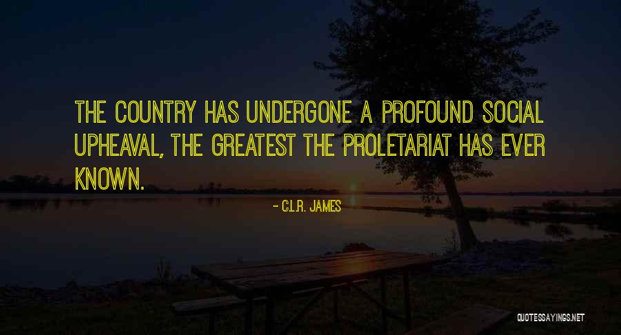 Vichora Quotes By C.L.R. James Vichora Quotes By C.L.R. James