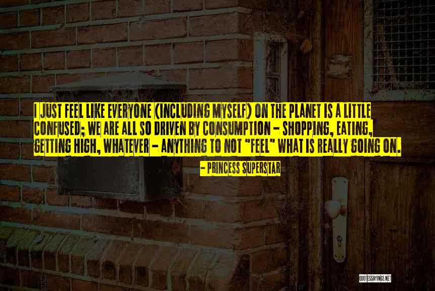Viciedo Cabinets Quotes By Princess Superstar Viciedo Cabinets Quotes By Princess Superstar