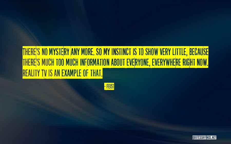 Vicisitudes Rae Quotes By Feist Vicisitudes Rae Quotes By Feist